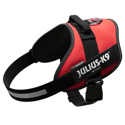 Rotes Julius-K9 IDC-Power Hundegeschirr mit schwarzem Gurt und reflektierenden Elementen, Metallring für Leine.