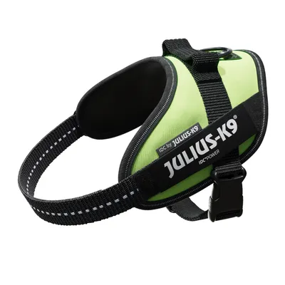 Julius-K9 IDC-Power Hundegeschirr in Grün mit reflektierenden Nähten und robustem Verschluss.