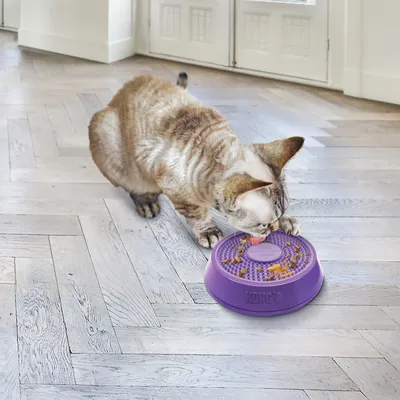 Katze frisst aus einem lila Fressnapf der Marke KONG, mit strukturierter Oberfläche und verstreutem Futter.
