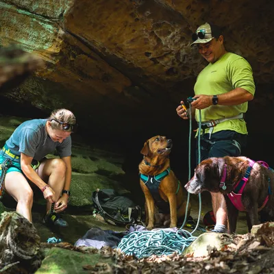 Twee honden met klimtuig naast klimuitrusting in een rotsachtige omgeving. Personen bereiden zich voor op een outdooractiviteit.