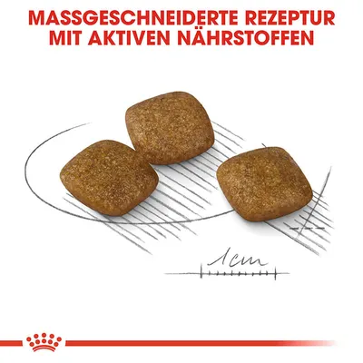 Massgeschneiderte Rezeptur mit aktiven Nährstoffen. Gezeigte Kroketten sind quadratisch, ca. 1 cm gross.