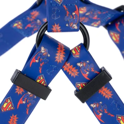 Niebieskie szelki dla psa z motywami Superman, czerwonymi symbolami i czarnymi elementami z tworzywa sztucznego.