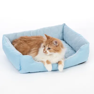 Jasnoniebieskie legowisko dla zwierząt z wyściełanym brzegiem i pikowanym wnętrzem, pokazane z leżącym w nim rudo-białym kotem.
