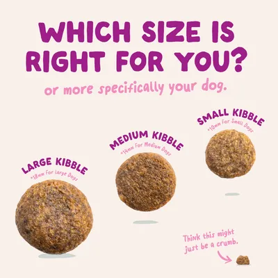 Edgard & Cooper Medium Puppy Eend & Kip graanvrij