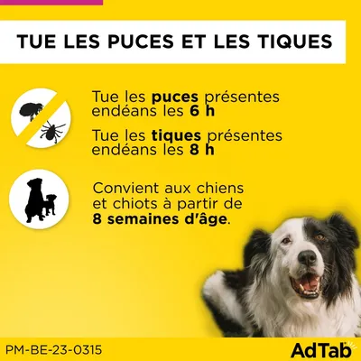 AdTab Comprimés à croquer pour petit chien (2,5 à 5,5 kg)