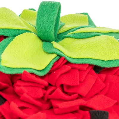 Detailaufnahme eines roten und grünen Schnüffelteppichs aus weichem Fleece-Material, geeignet für interaktives Spielen oder Snacksuche.