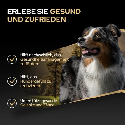 Erlebe Sie gesund und zufrieden. Hilft das Gesundheitsmanagement zu fördern, Hungergefühl zu reduzieren und unterstützt gesunde Gelenke und Zähne. Erlebe Sie gesund und zufrieden. Hilft das Gesundheitsmanagement zu fördern, Hungergefühl zu reduzieren und unterstützt gesunde Gelenke und Zähne.