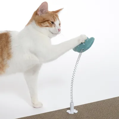 Spielzeug mit Federmechanismus, befestigt auf einer Kratzmatte. Katze interagiert mit einem grünen Stoffelement am oberen Ende der Feder.