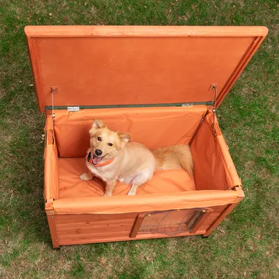 Holz-Hundebox mit orangefarbenem Innenpolster, geöffnet. Hund sitzt darin auf einer Wiese.