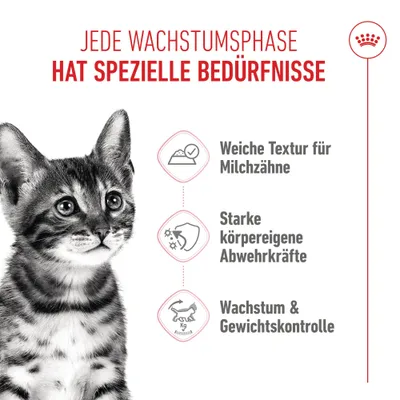 Royal Canin Sterilized Kitten in Gelee