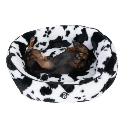Dog lying relaxed in a black and white patterned pet bed with soft fabric and Trixie logo.