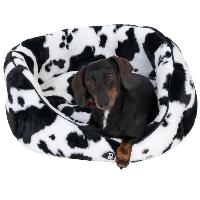 Black and white dog in a black and white patterned pet bed with cowhide look. TIA brand logo visible on the edge of the bed.