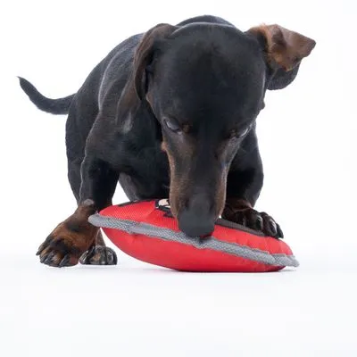 Harry Potter hondenspeeltje