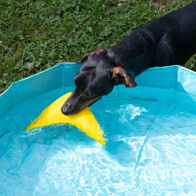 Nomad Tales Spirit Boomerang Water Toy