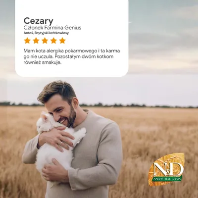 Opinia klienta Cezary: 5 gwiazdek. Relacja na temat tolerancji karmy przez kota z alergią oraz zadowolenia pozostałych kotów. Widoczna marka N&D Ancestral Grain.