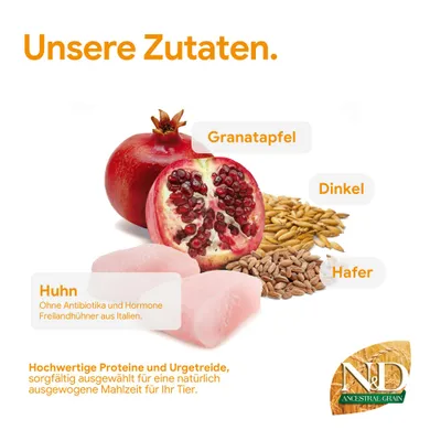 Unsere Zutaten: Granatapfel, Dinkel, Hafer, Huhn ohne Antibiotika und Hormone. Hochwertige Proteine und Urgetreide für eine ausgewogene Mahlzeit. N&D Ancestral Grain. Unsere Zutaten: Granatapfel, Dinkel, Hafer, Huhn ohne Antibiotika und Hormone. Hochwertige Proteine und Urgetreide für eine ausgewogene Mahlzeit. N&D Ancestral Grain.