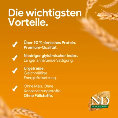 Die wichtigsten Vorteile: Über 90 % tierisches Protein, niedriger glykämischer Index, Urgetreide, ohne Mais, ohne Konservierungsstoffe, ohne Füllstoffe. N&D Ancestral Grain. Die wichtigsten Vorteile: Über 90 % tierisches Protein, niedriger glykämischer Index, Urgetreide, ohne Mais, ohne Konservierungsstoffe, ohne Füllstoffe. N&D Ancestral Grain.