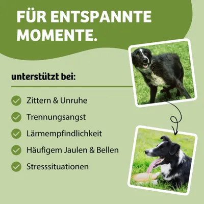 Für entspannte Momente. Unterstützt bei Zittern & Unruhe, Trennungsangst, Lärmempfindlichkeit, häufigem Jaulen & Bellen, Stresssituationen.