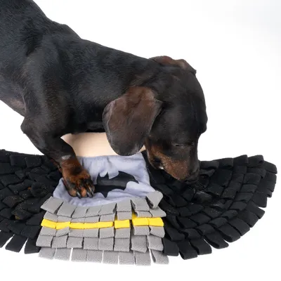 Cane che gioca con un tappetino olfattivo in tessuto nero, grigio e giallo con logo Batman.