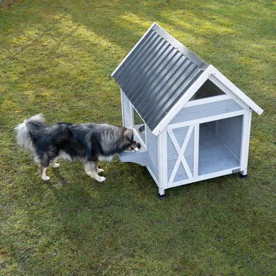 Gråt hundehus med sort tag og integreret foderområde. En hund spiser af foderskålen ved huset.