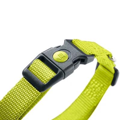 Nahaufnahme eines gelben Nylon-Halsbands mit schwarzem Klickverschluss und grünem Logo auf dem Verschluss.