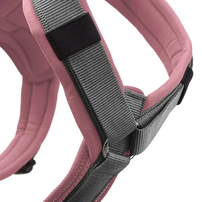 Nahaufnahme eines rosa und grauen gepolsterten Geschirrs mit verstellbaren Gurten und Metallring.
