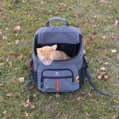 Grauer Rucksack von Ferplast mit orangefarbenen Akzenten, geöffnet, mit einer Katze darin. Geeignet für den Transport von Haustieren.