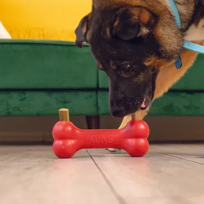 Dog playing with red KONG chew toy in bone shape, filled with treats at both ends.