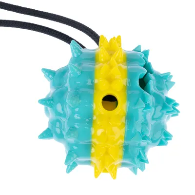 Plastična igračka lopta sa žutom prugom i plavim bodljama, pričvršćena na crnu uzicu.