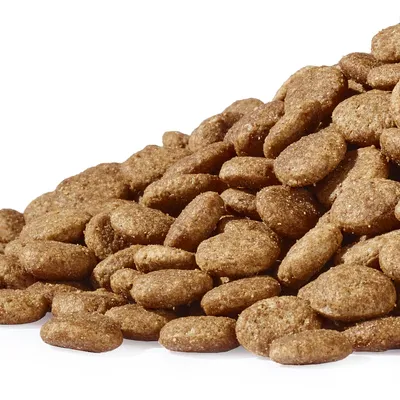 Gros plan sur des croquettes ovales marron. Aucune autre information visible.