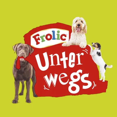Frolic Unterwegs. Drei Hunde vor rotem Hintergrund, darunter ein brauner Labrador, ein weisser Pudel und ein kleiner schwarz-weisser Hund.
