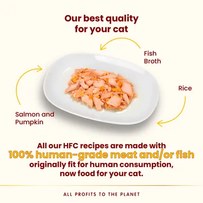Tányéron lazac, sütőtök, rizs és halleves macskaeledel. Szöveg: 100% human-grade hús vagy hal, eredetileg emberi fogyasztásra alkalmas, most macskáknak.