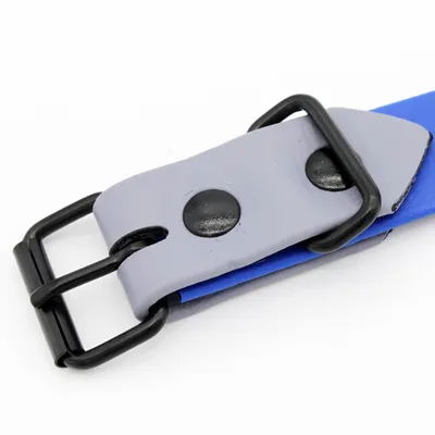 Detailansicht eines blauen Halsbands mit grauer Schnalle und schwarzen Metallverschlüssen.