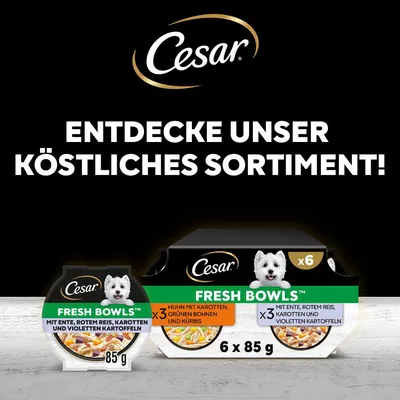Cesar Fresh Bowls, 6 x 85g. Sorten: Ente mit rotem Reis, Karotten und violetten Kartoffeln sowie Huhn mit Karotten, grünen Bohnen und Kürbis. Entdecke unser köstliches Sortiment!