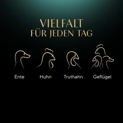 Vielfalt für jeden Tag: Enten-, Hühner-, Truthahn- und Geflügelvarianten dargestellt mit minimalistischen Tierzeichnungen.
