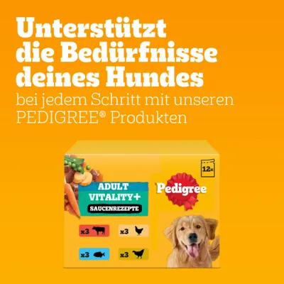 Pedigree Adult Frischebeutel für Hunde Vitality+ in Sauce Pedigree Adult Frischebeutel für Hunde Vitality+ in Sauce