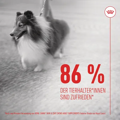 Royal Canin Skin & Coat Adult Supplement žvečilni prigrizki