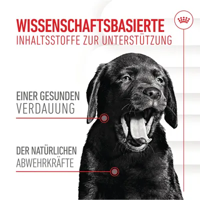 Wissenschaftsbasierte Inhaltsstoffe zur Unterstützung einer gesunden Verdauung und der natürlichen Abwehrkräfte. Schwarzer Hund mit geöffnetem Maul abgebildet.