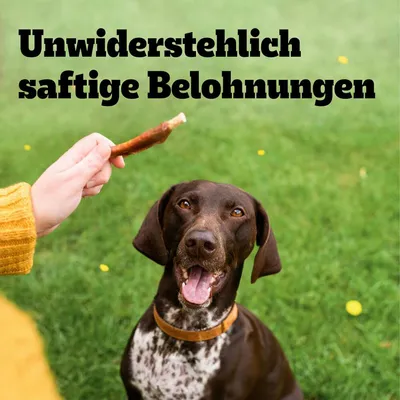 Texte en allemand : Unwiderstehlich saftige Belohnungen