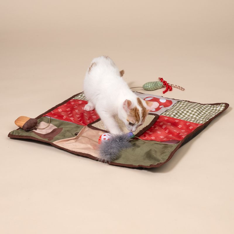 TIAKI Herbstliche Spiel- und Schnüffelmatte für Katzen
