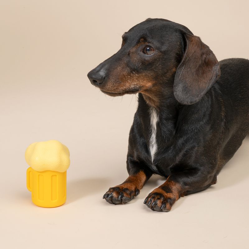 Jouet aquatique TIAKI Chope de bière pour chien