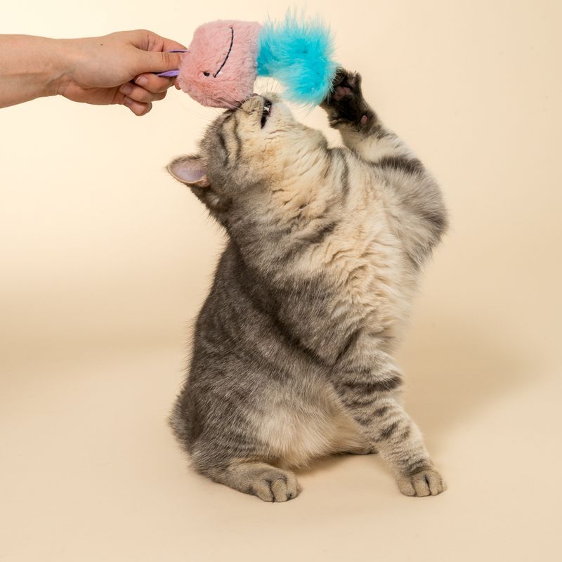 TIAKI Katzenspielzeug Monster-Kaninchen