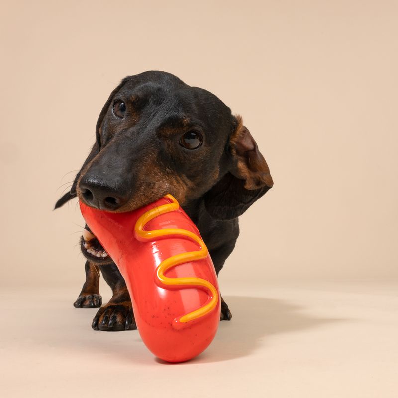 TIAKI Ultrastarkes Kauspielzeug Hotdog
