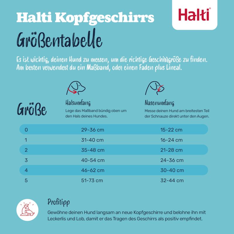 Halti Hunde-Kopfhalfter schwarz
