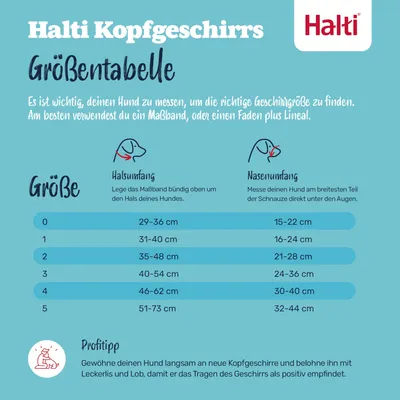Halti Hunde-Kopfhalfter schwarz