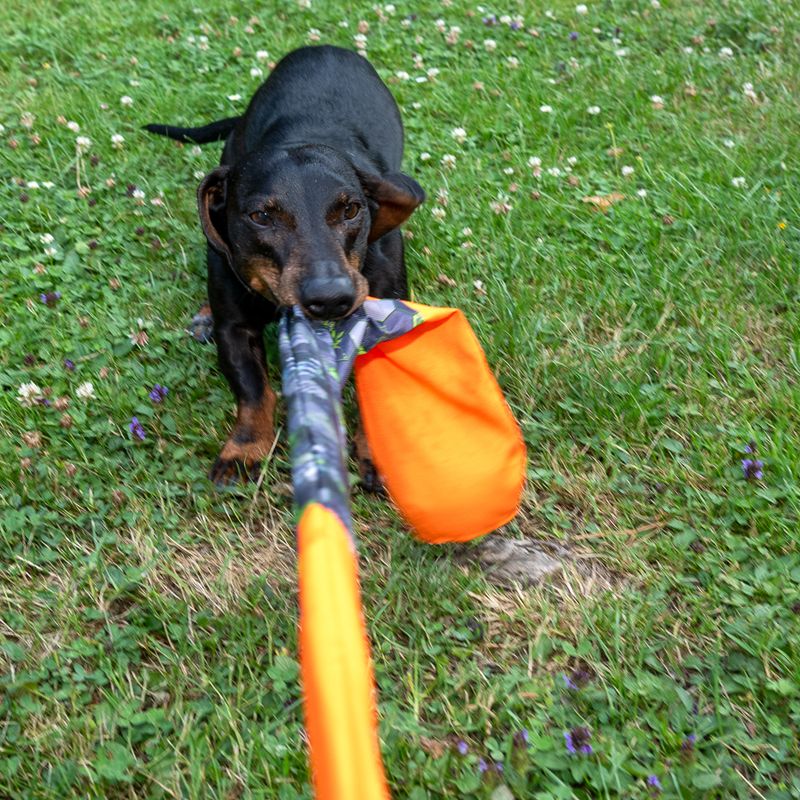 TIAKI Hundespielzeug Wurfball mit Fangschwanz