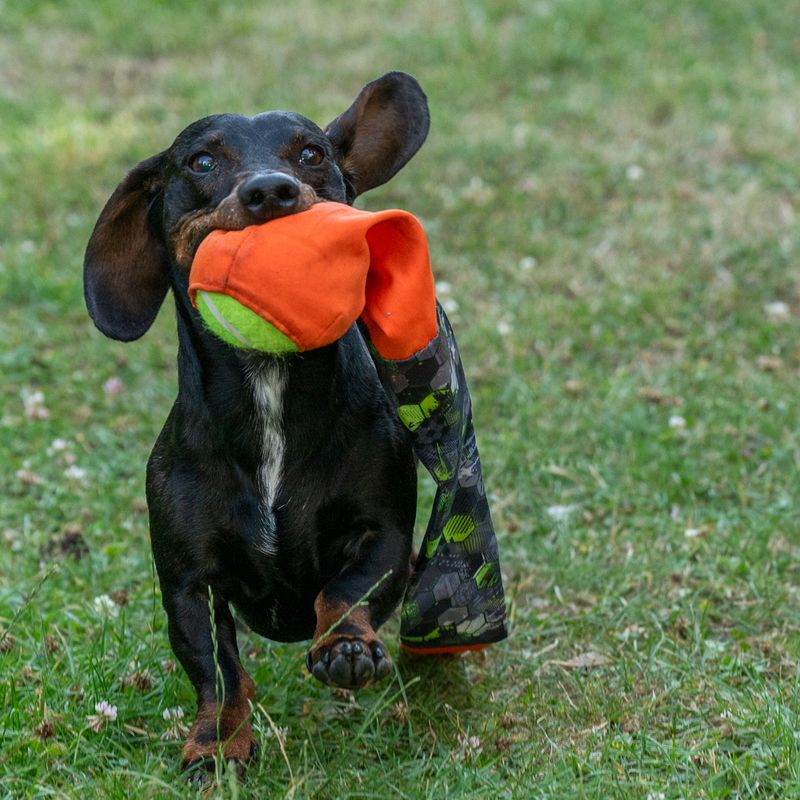TIAKI Hundespielzeug Wurfball mit Fangschwanz