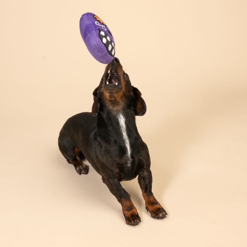 TIAKI Hundespielzeug Catrina