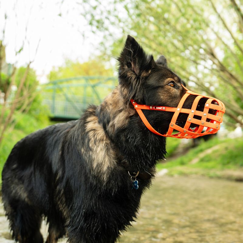 COLORI® Maulkorb Schäferhund M, hellbraun
