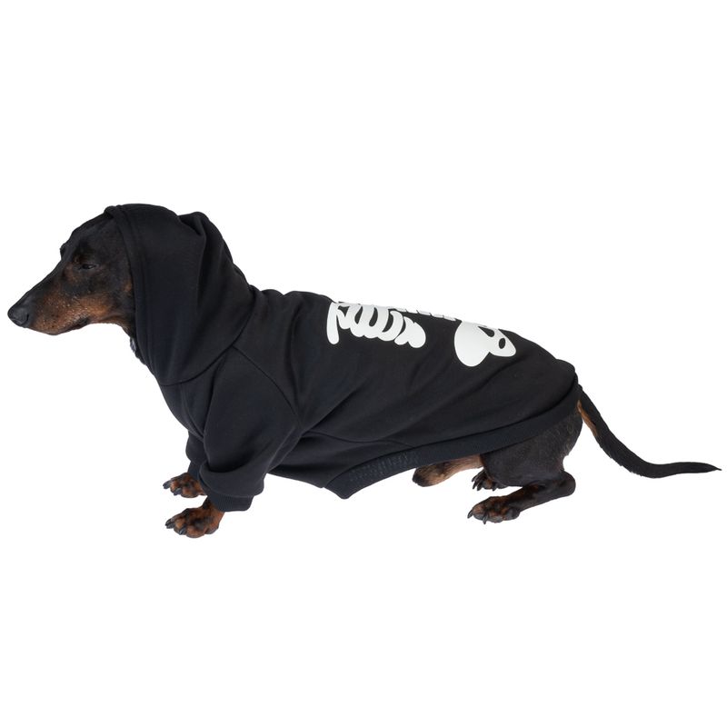 TIAKI Leuchtender Skelett-Hoodie für Hunde